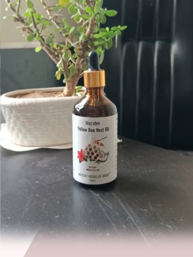 Benifits of Yellow (Bhirad) bee nest oil – tataiya chatte ka oil