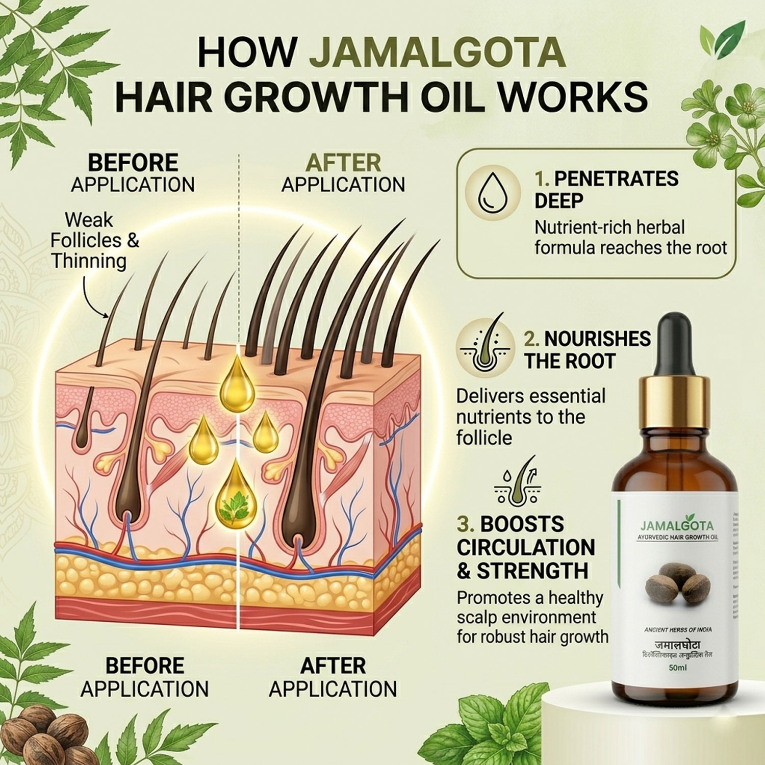 Jamalgota Detoxified Hair Growth Oil – Herbal Anti-Hair Fall & Scalp Nourishing Oil for Stronger, Thicker Hair Regrowth | Natural Ayurvedic Hair Treatment