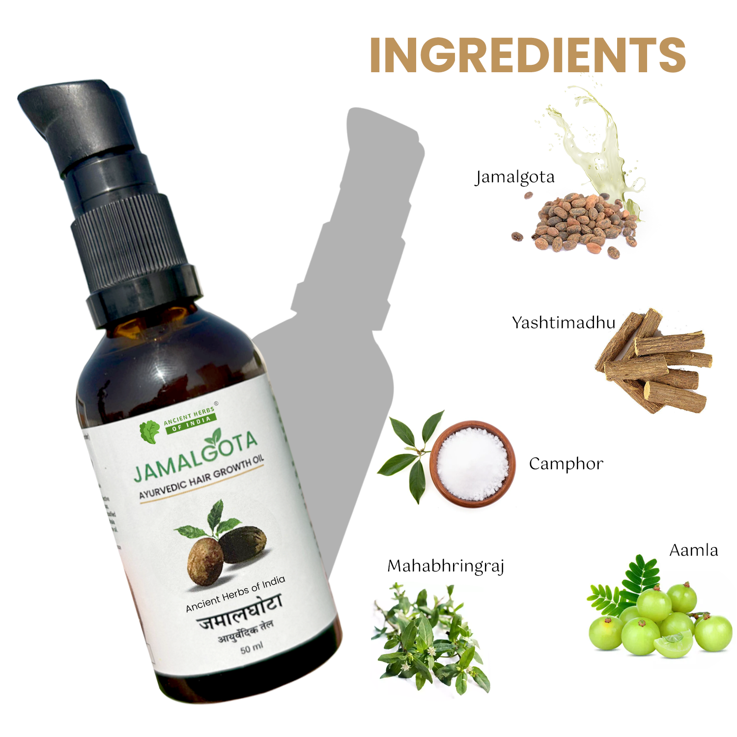 Jamalgota Detoxified Hair Growth Oil – Herbal Anti-Hair Fall & Scalp Nourishing Oil for Stronger, Thicker Hair Regrowth | Natural Ayurvedic Hair Treatment