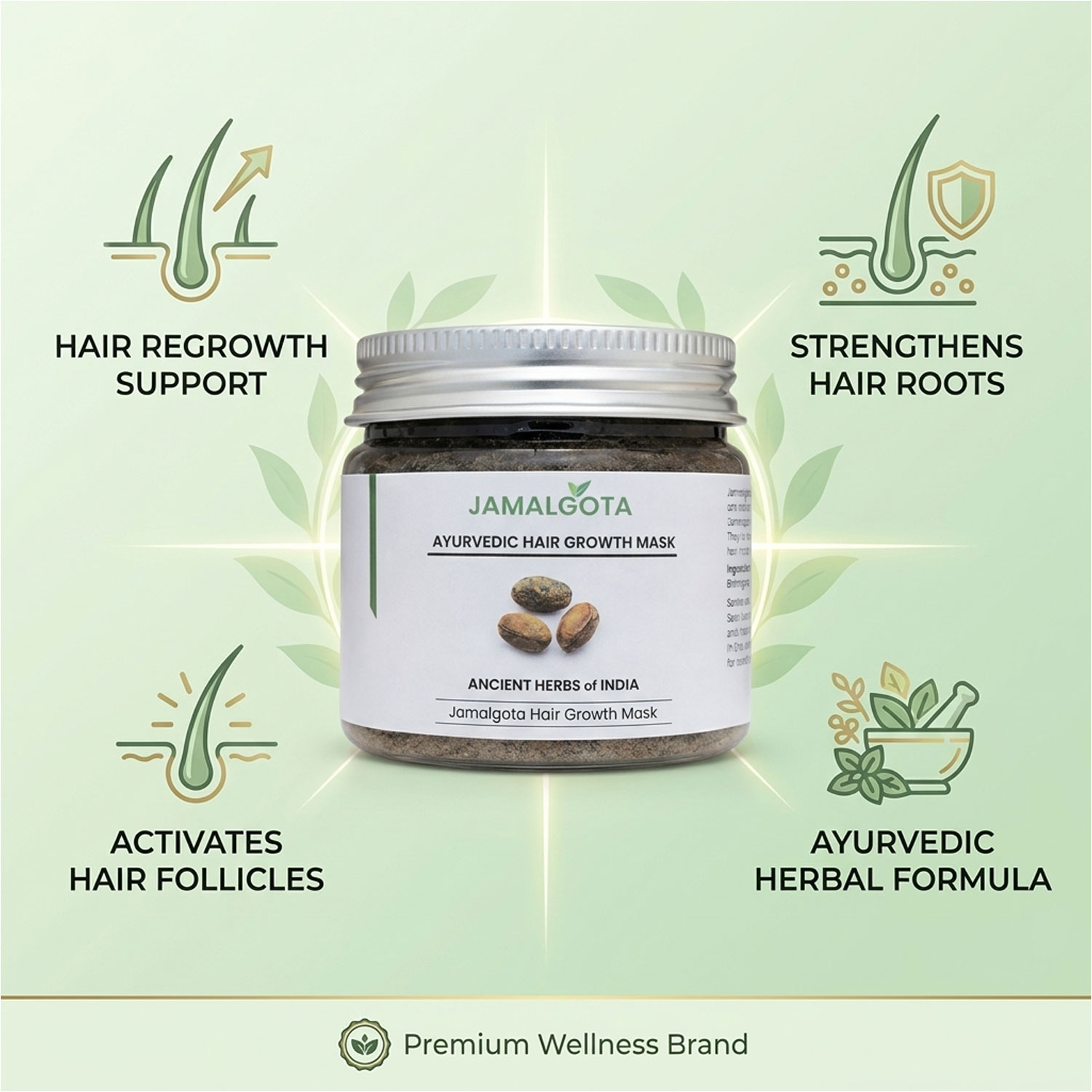 Jamalgota Detoxified Hair  Lep Powder (pakc of 2) – Herbal Anti-Hair Fall & Scalp Purifying Pack for Stronger Roots and Thicker-Looking Hair