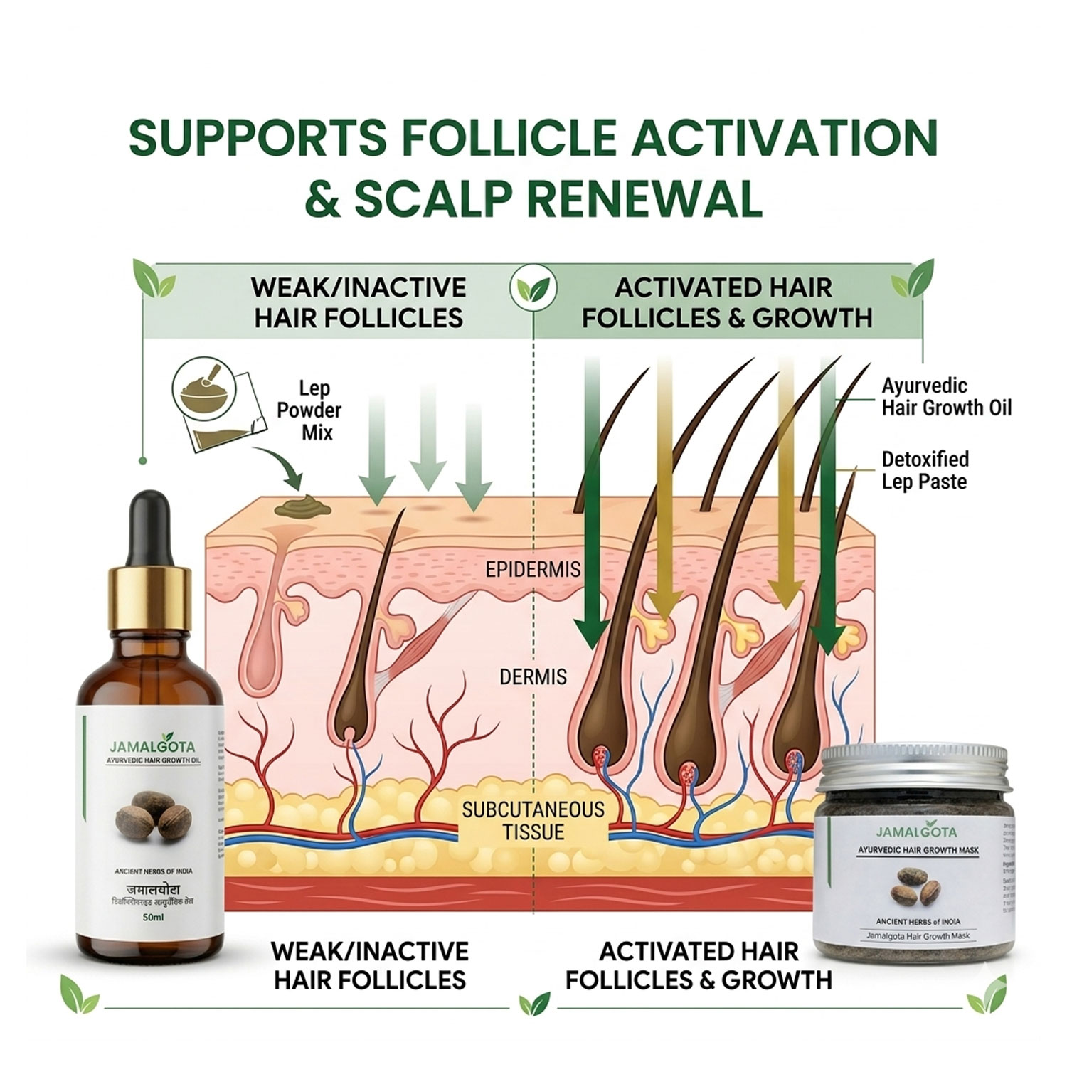 Jamalgota Hair Growth Combo (Oil + Powder Mask); Milk Detoxified Ayurvedic System; Supports Hair Regrowth & Alopecia Care; Follicle Activation & Scalp Nourishment; 2-Step Herbal Treatment Kit