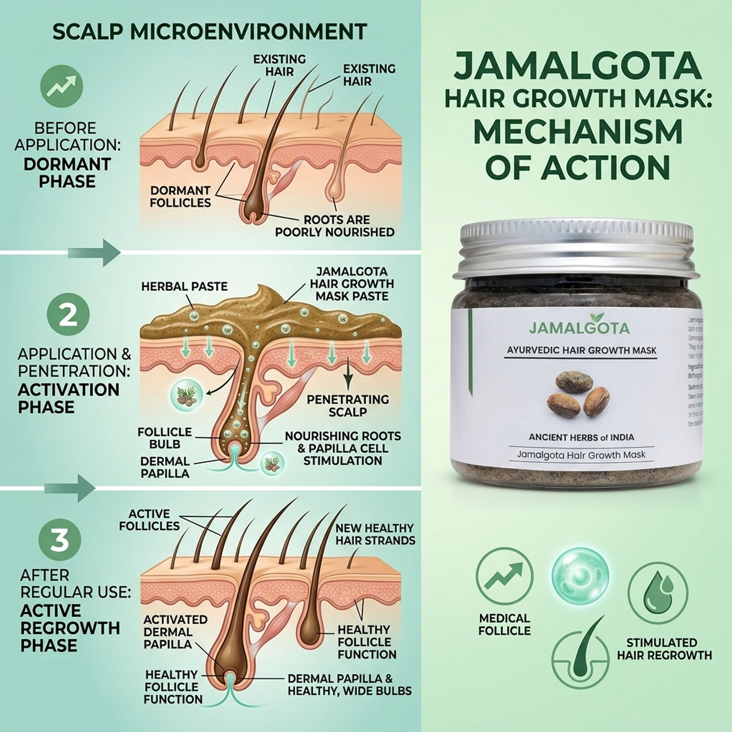 Jamalgota Powder for Hair Growth (Milk Detoxified); Ayurvedic Scalp Treatment Mask; Supports Hair Regrowth & Alopecia Care; Follicle Activation; Herbal Hair Growth Powder; External Use (Pack of 2)