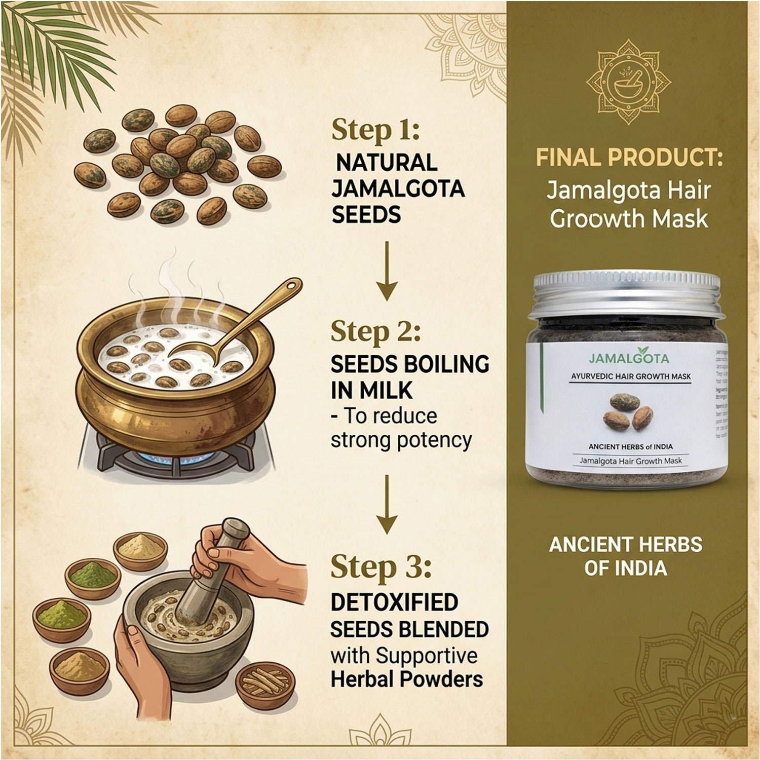 Jamalgota Powder for Hair Growth (Milk Detoxified); Ayurvedic Scalp Treatment Mask; Supports Hair Regrowth & Alopecia Care; Follicle Activation; Herbal Hair Growth Powder; External Use (Pack of 2)