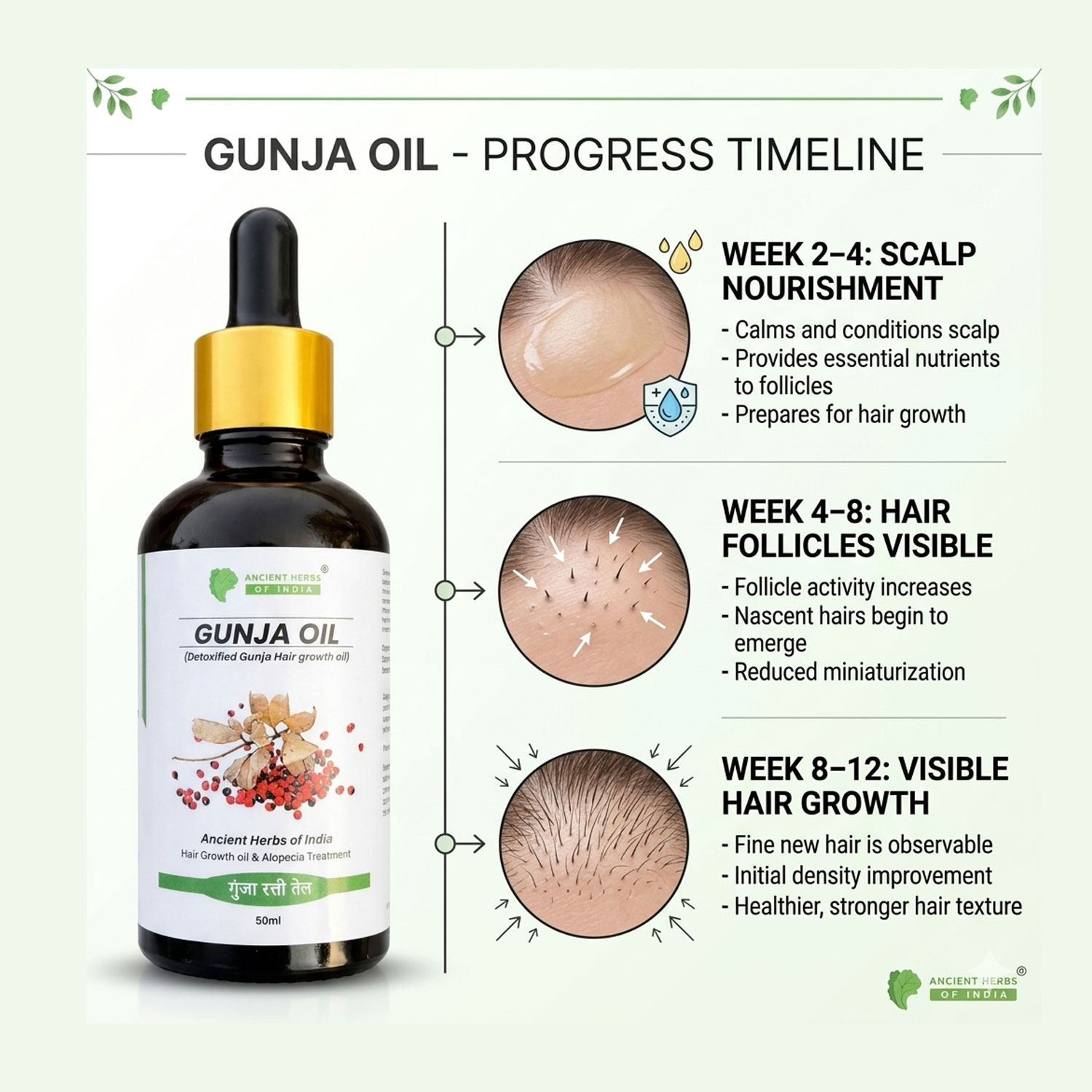 Gunja Ratti Hair Oil (Milk Detoxified) for Hair Regrowth & Alopecia Support – Activates Hair Follicles, Reduces Hair Fall, Natural Ayurvedic Scalp Treatment – 50ml
