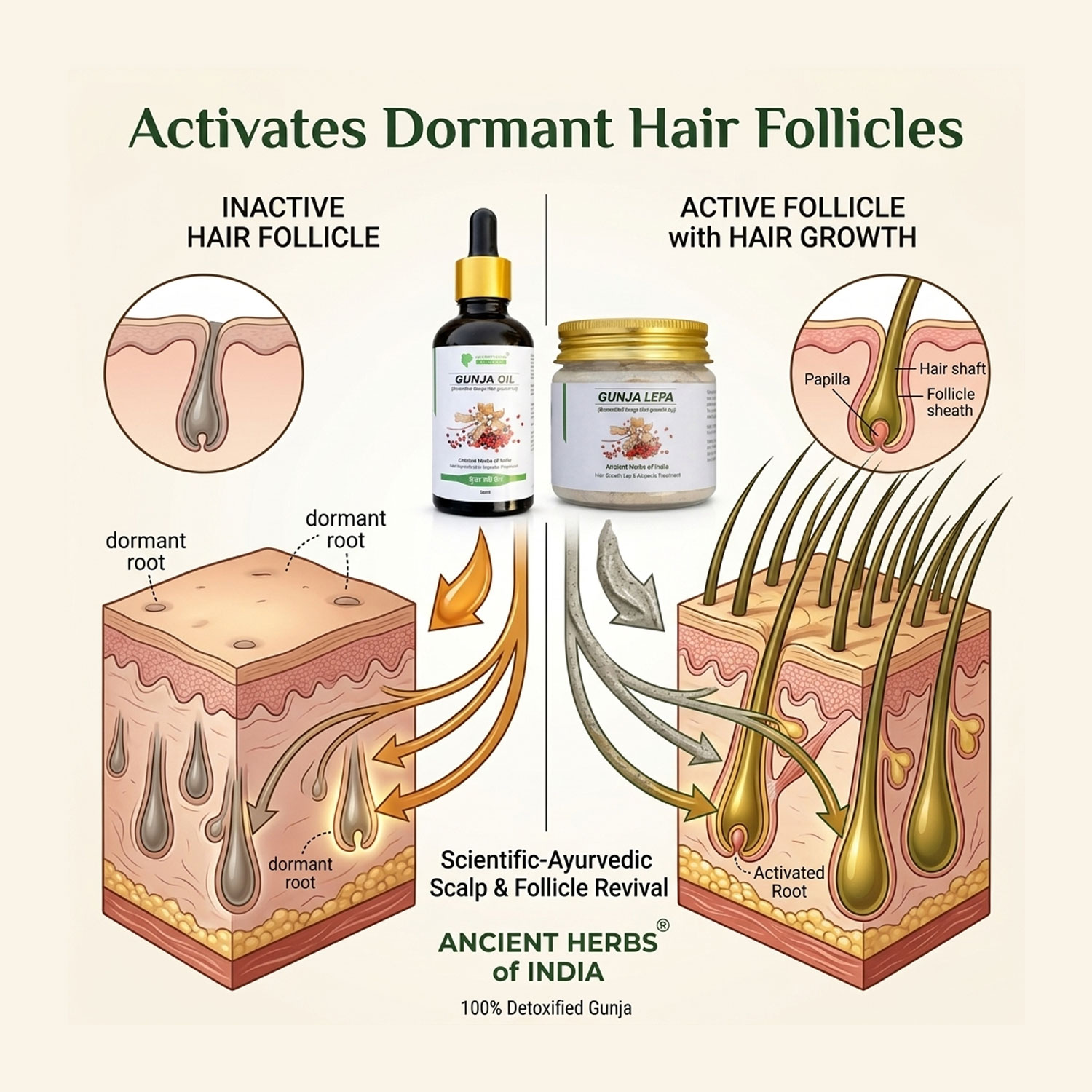 Gunja Hair Growth Combo (Oil + Powder Lep); Milk Detoxified Ayurvedic Formula; Supports Hair Regrowth & Alopecia Care; Activates Hair Follicles; Scalp Nourishment Treatment; 2-Step System