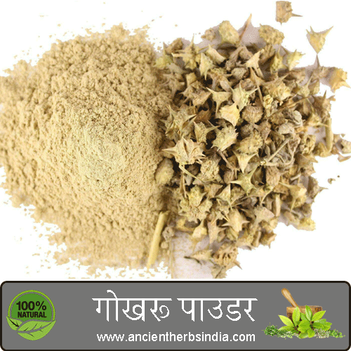Natural Dried Gokhru Powder