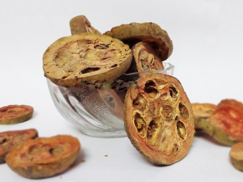 Rudravanti fal -Littoral bind weed- Cressa cretica Fruit