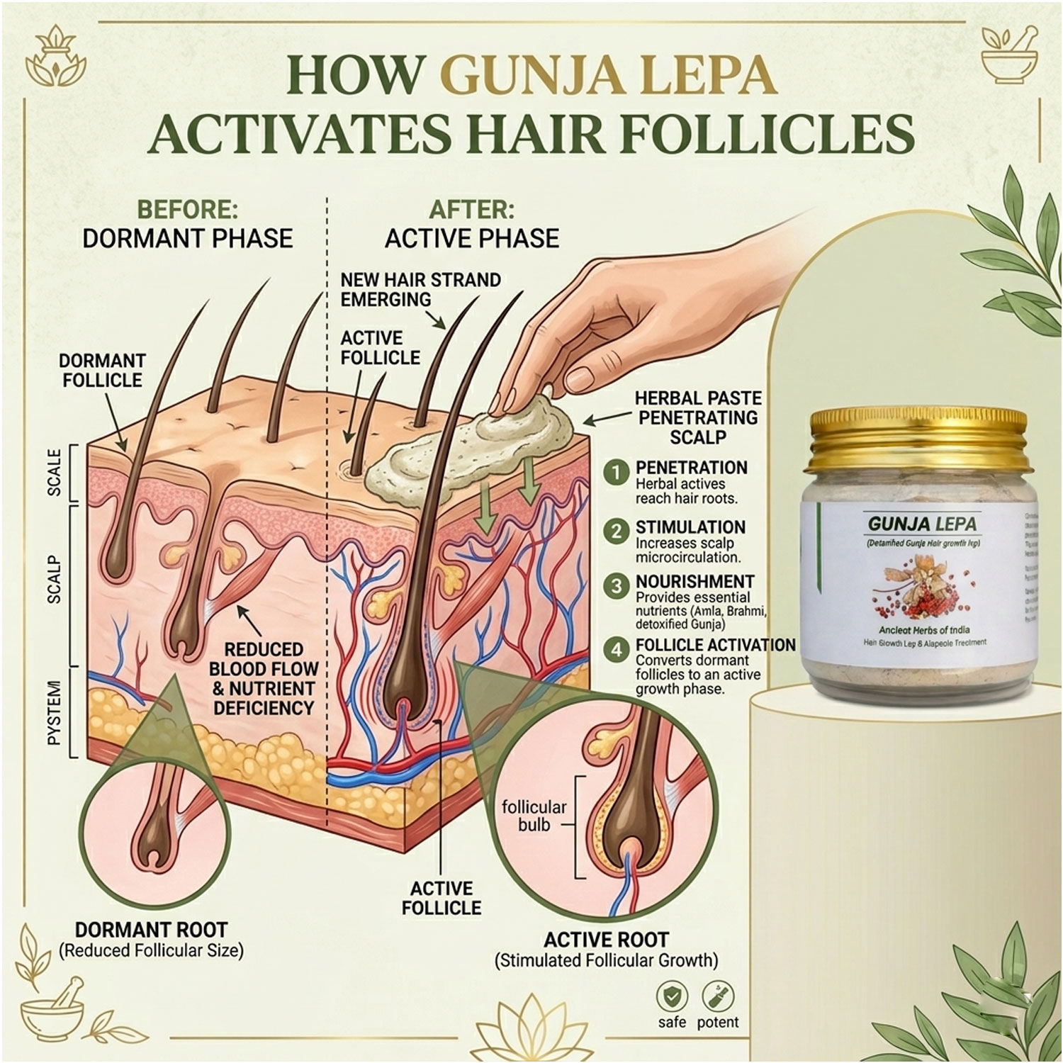 Gunja Powder for Hair Growth (Milk Detoxified); Ayurvedic Hair Regrowth Lep; Supports Alopecia Care; Activates Hair Follicles; Scalp Treatment Mask; Natural Herbal Powder