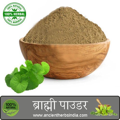 Ancient herbs Brahmi organic powder Bacopa monnieri powder 100% natural