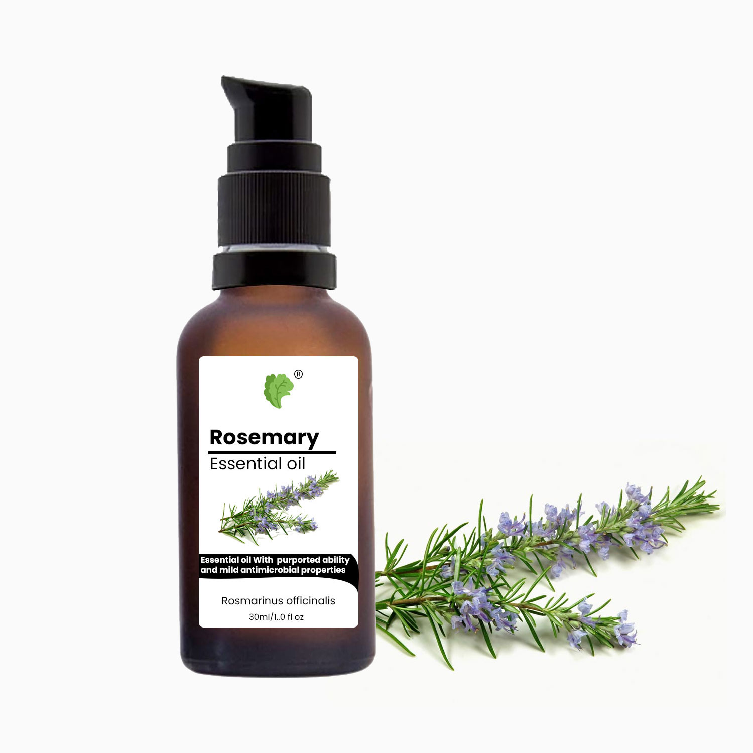 Rosemary Essential oil | For Hair and Skin | 100% Pure and Organic 30ml
